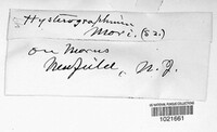 Image Associated With the Occurence